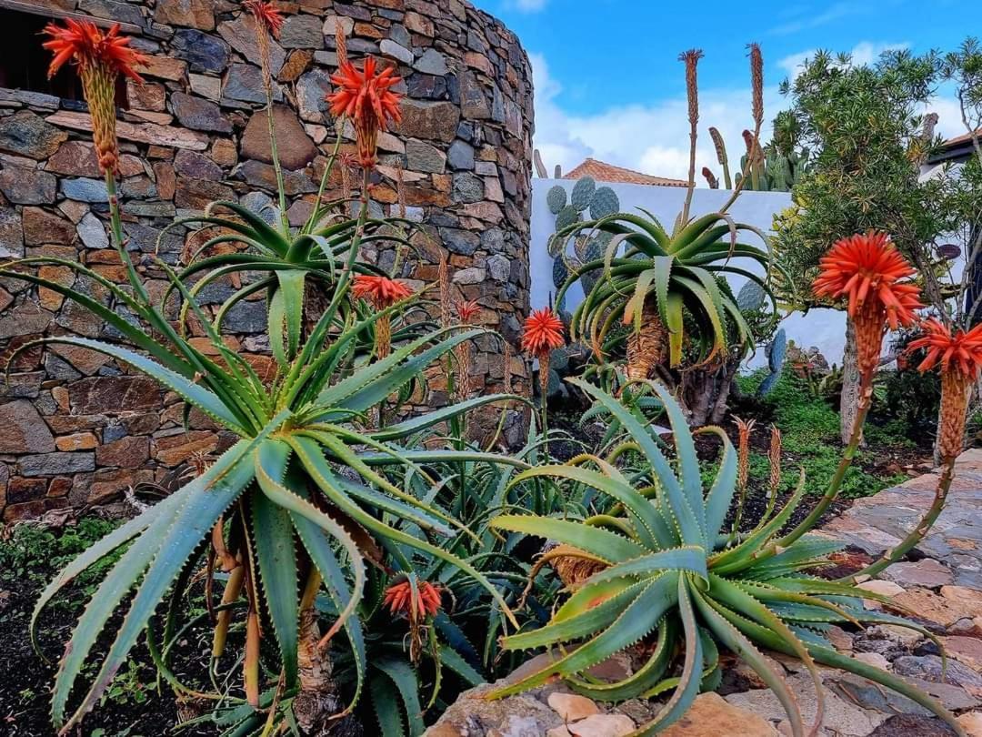 Appartamento Casita De Lea Costa De Antigua